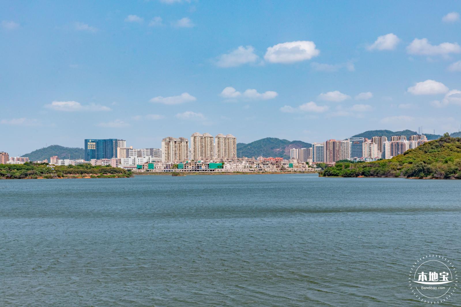 立新湖公园月季花海