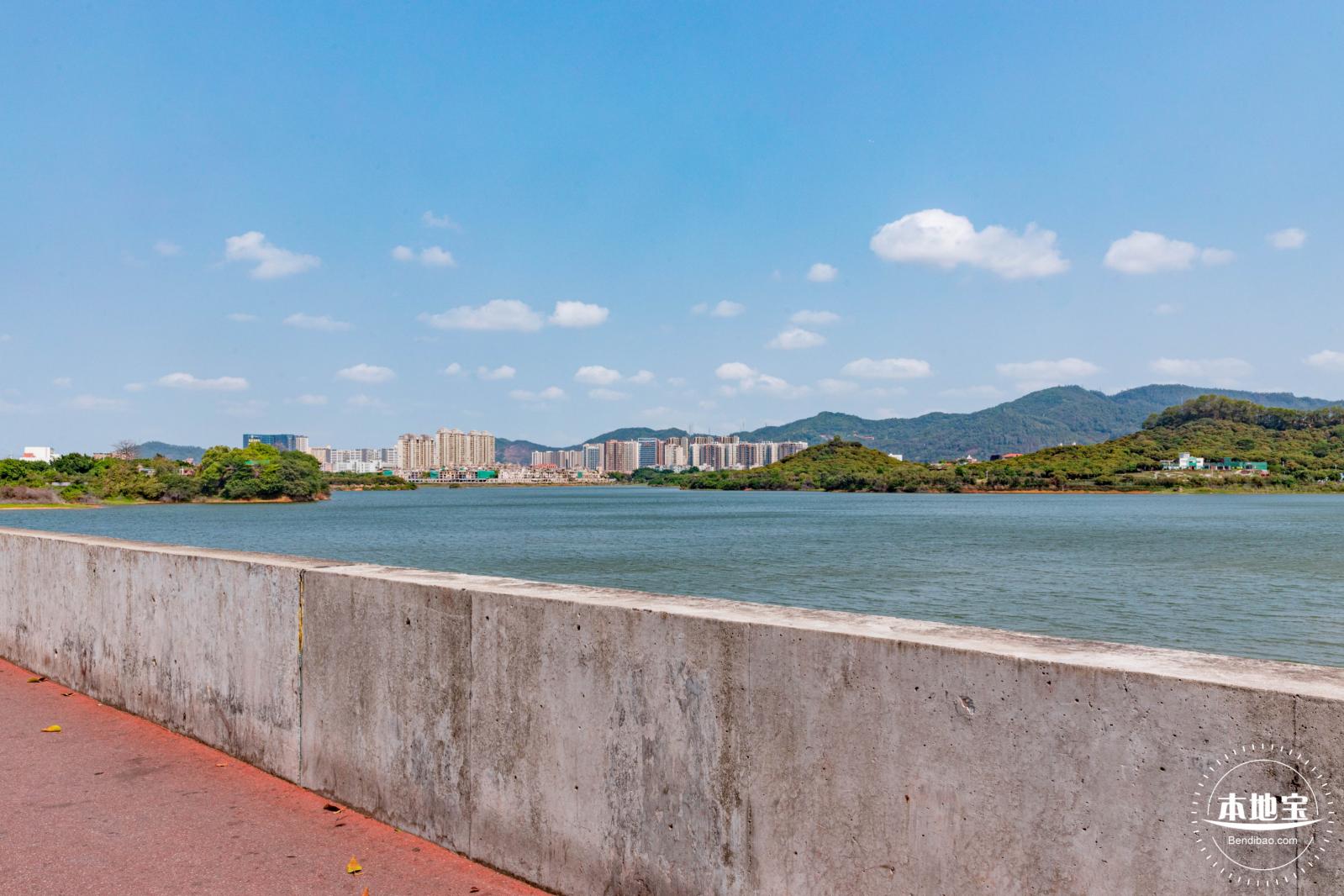 立新湖公园月季花海