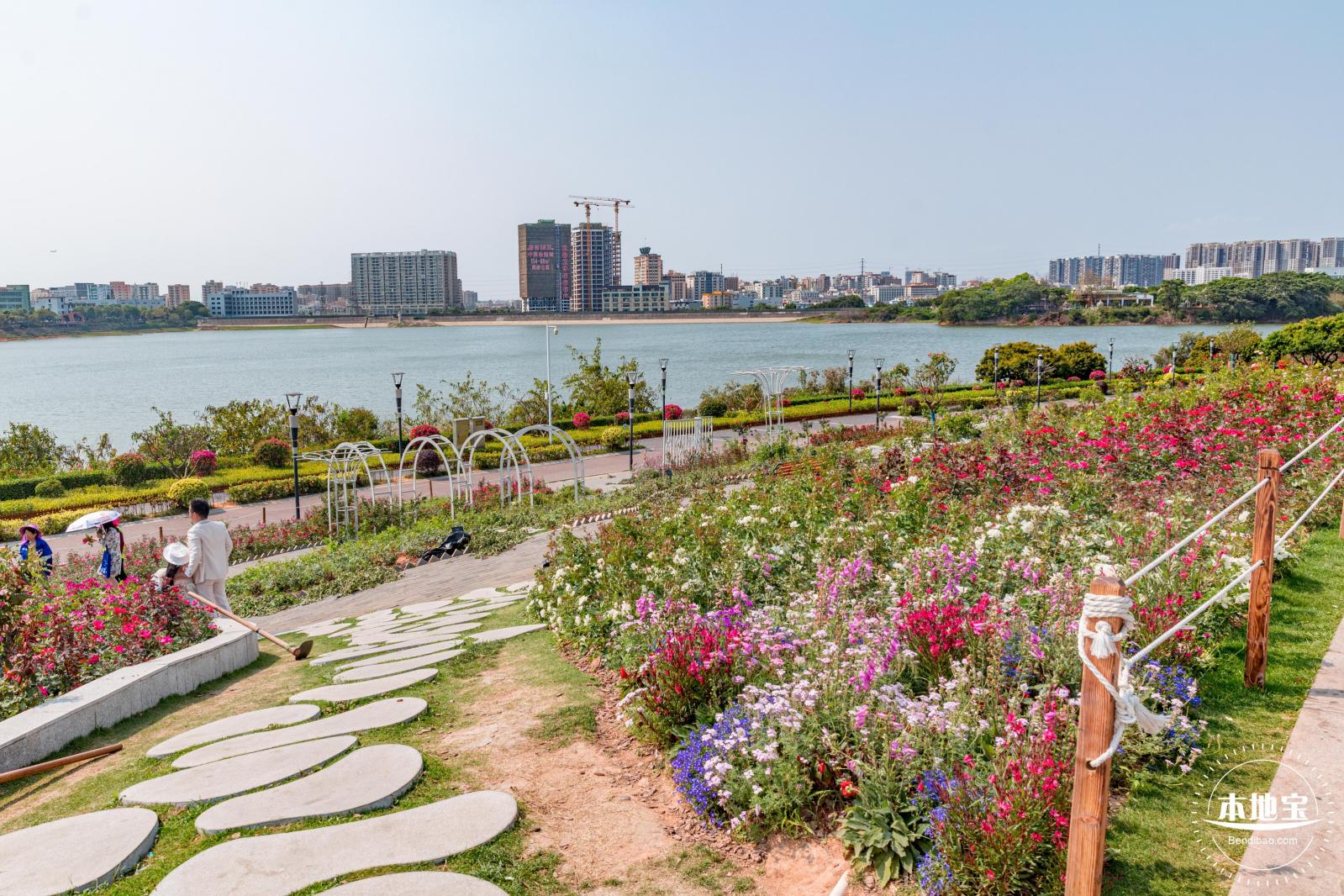 立新湖公园月季花海