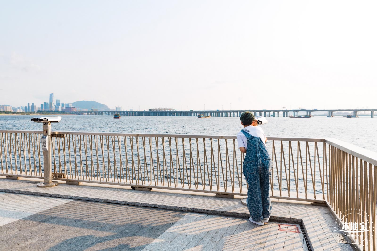 湾区之光