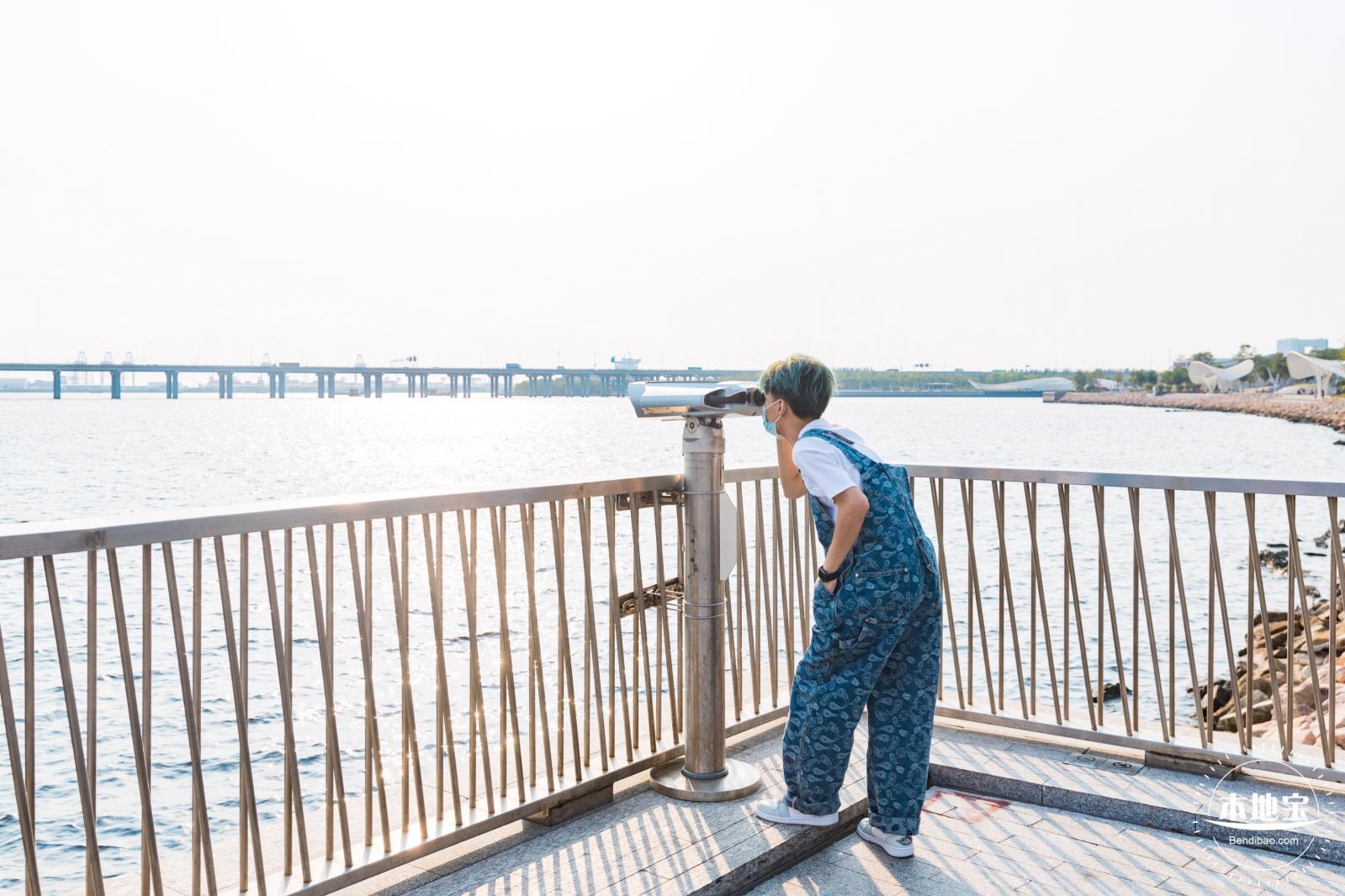 湾区之光