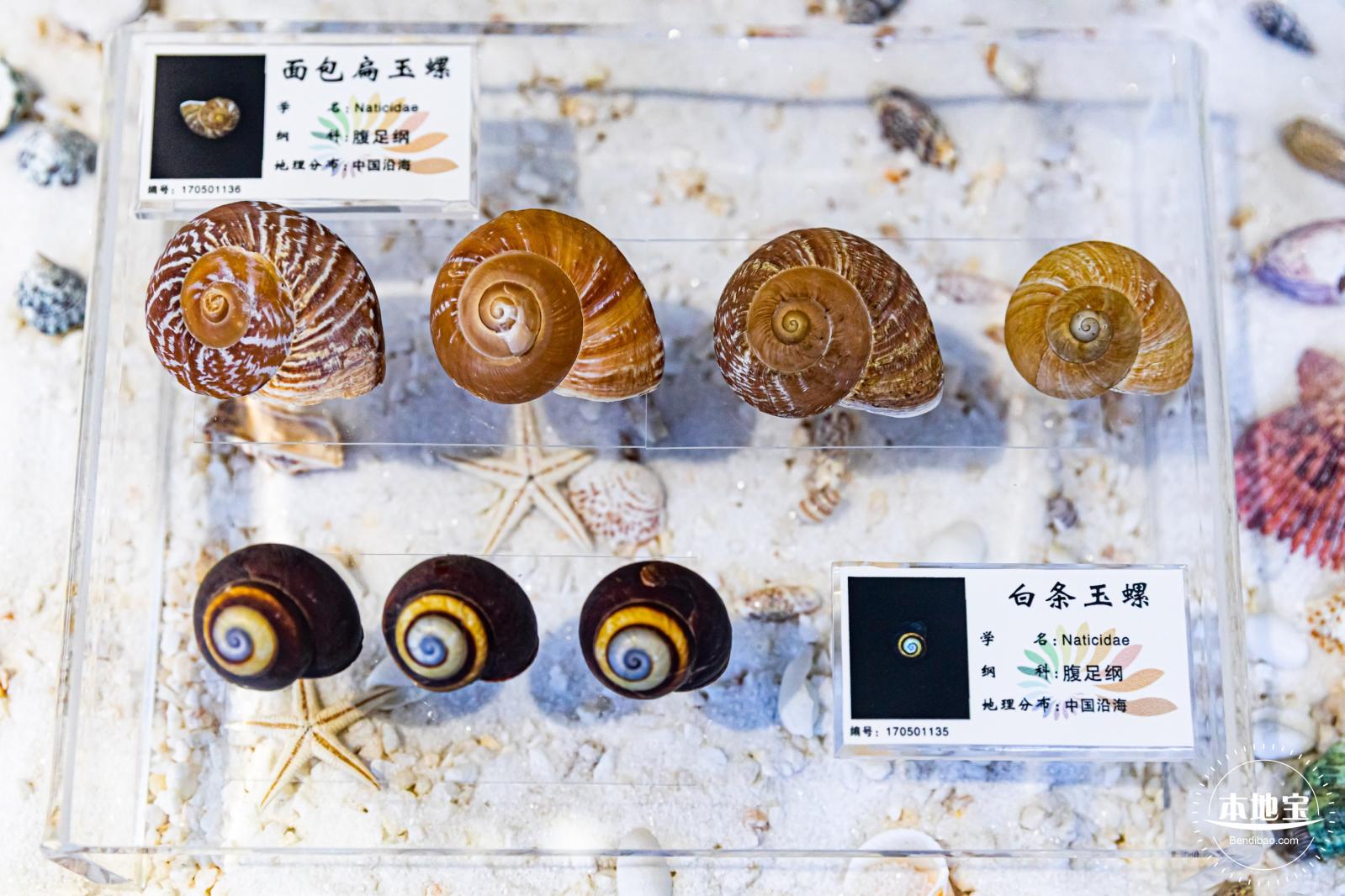 蛇口海洋科普馆