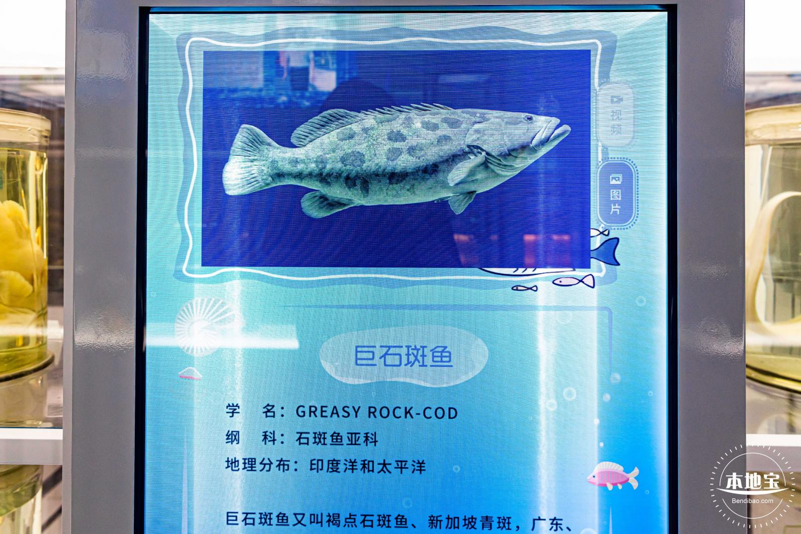 蛇口海洋科普馆
