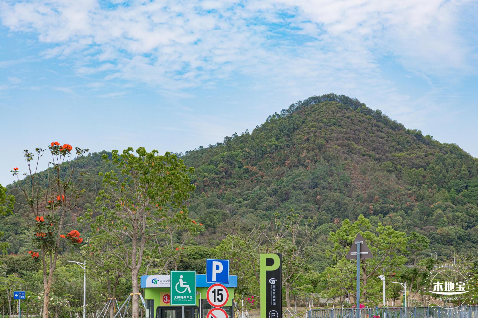 罗田森林公园