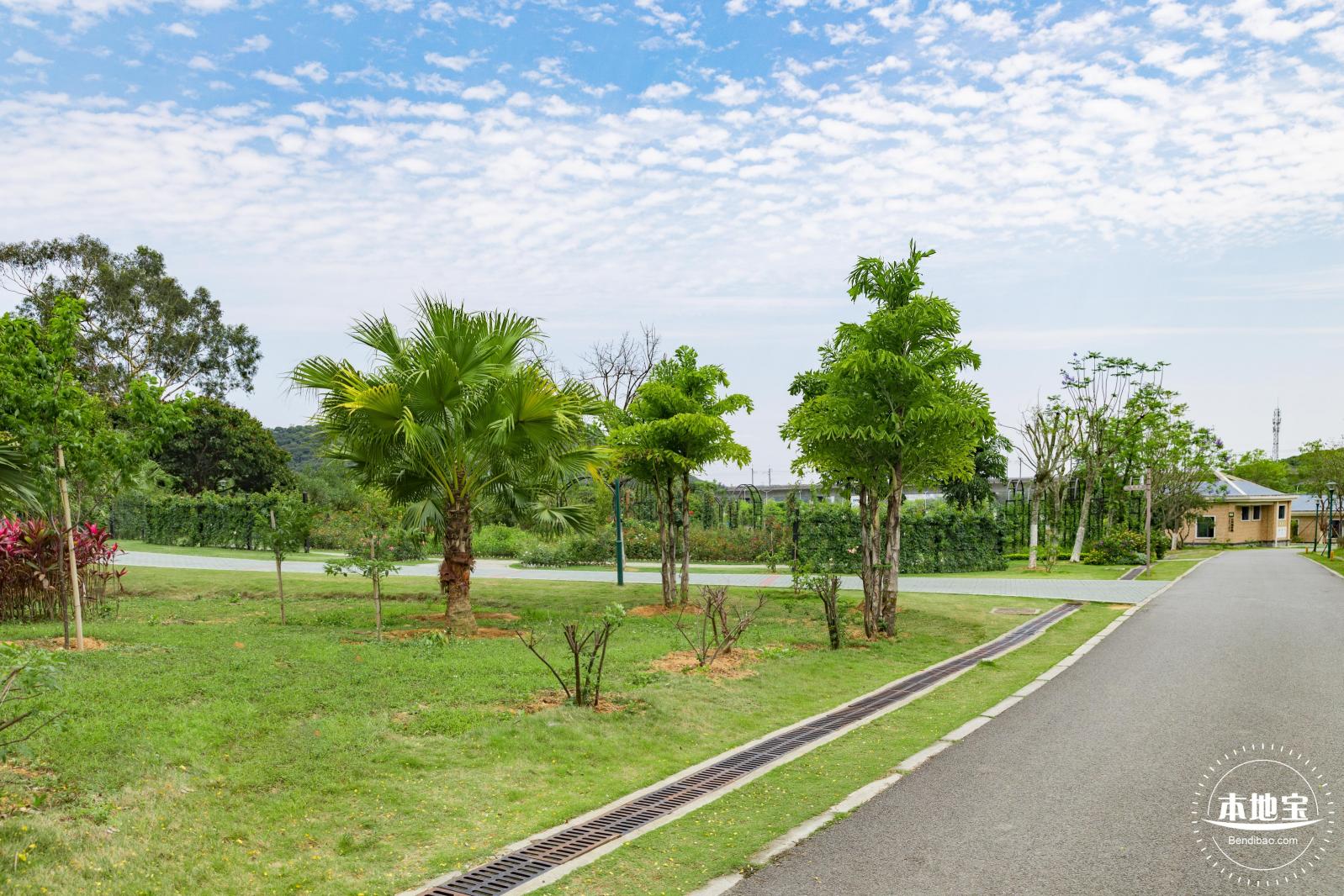 罗田森林公园