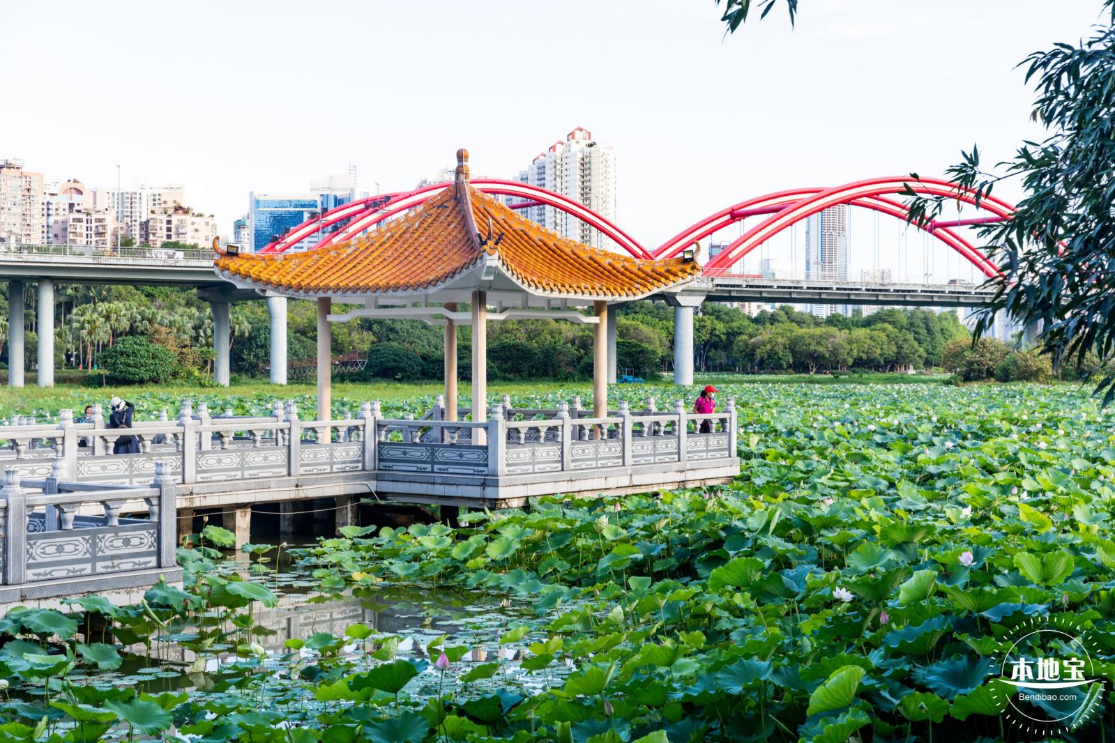 洪湖公园