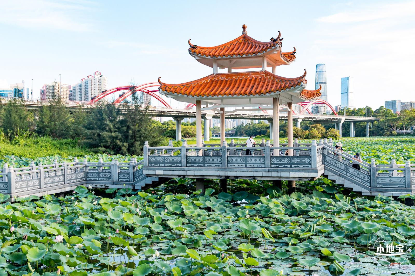 洪湖公园