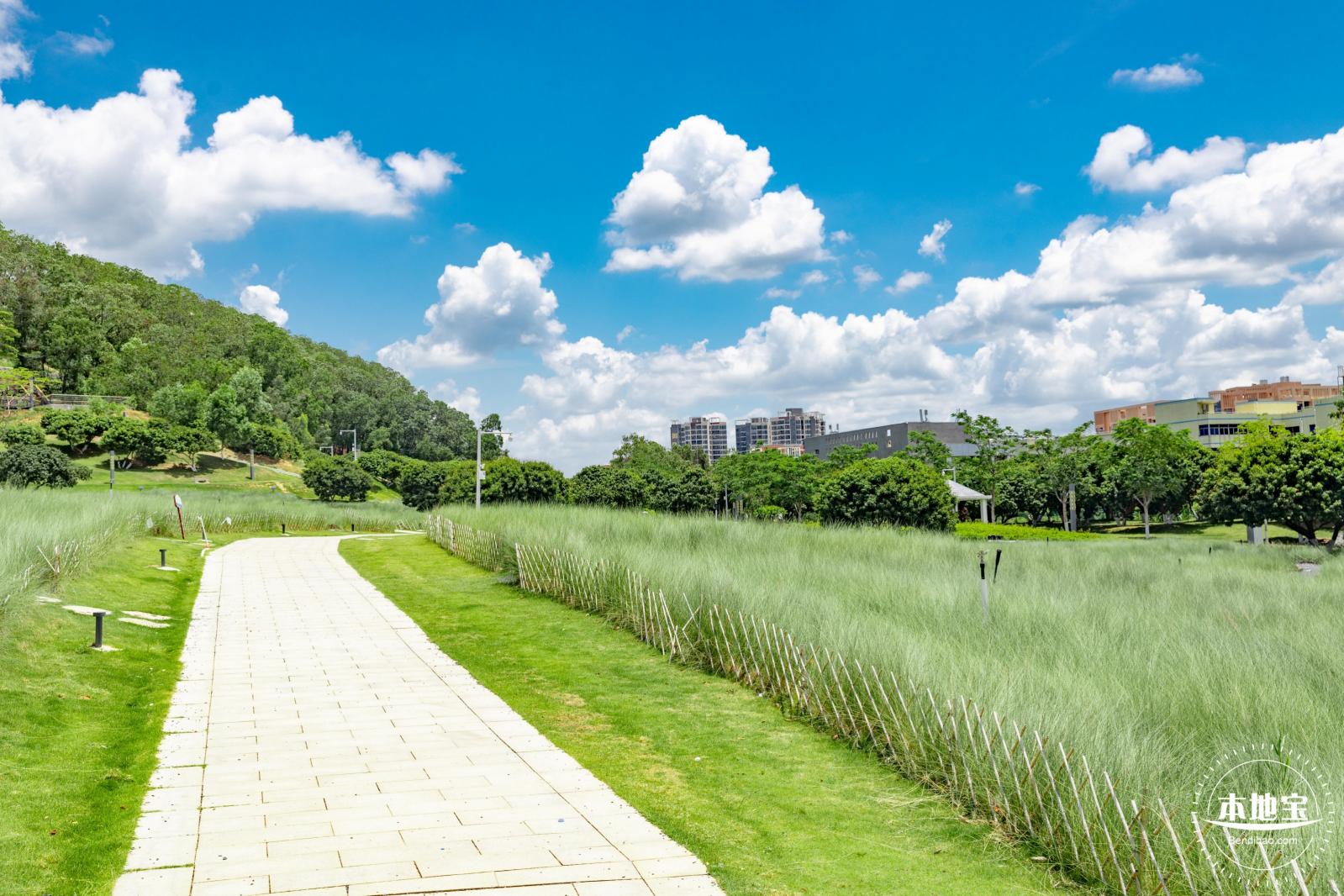 红花山绿色花海