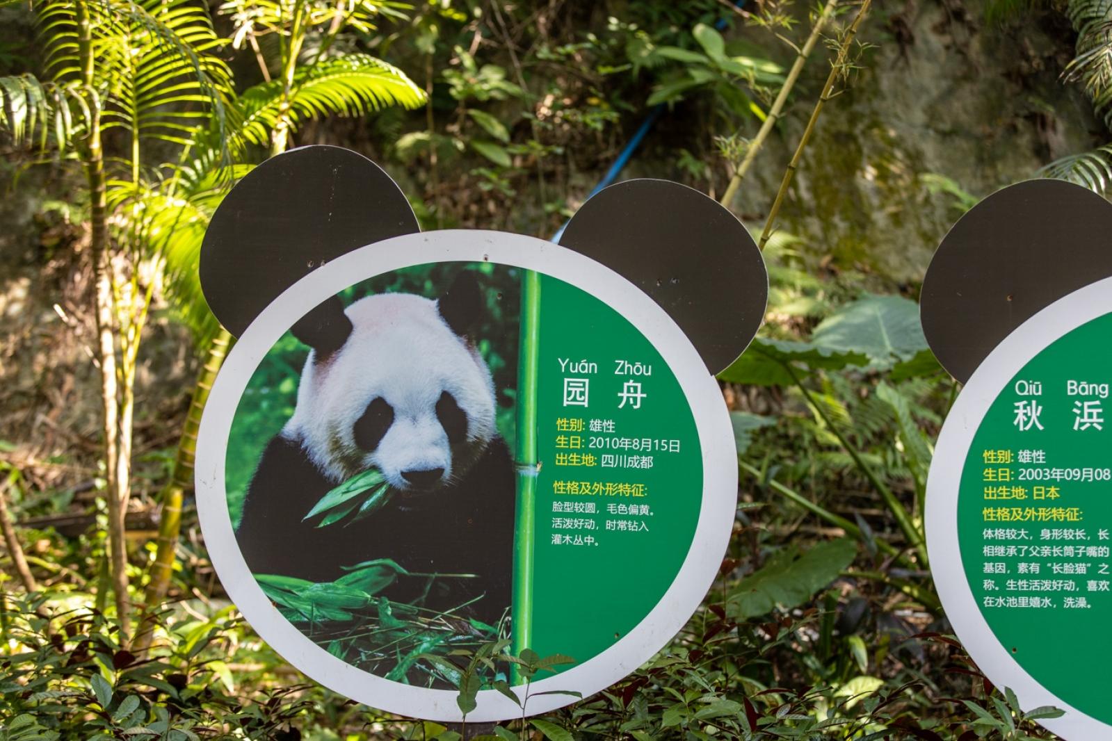 深圳野生动物园