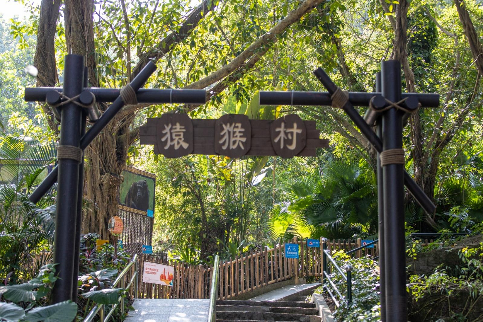 深圳野生动物园