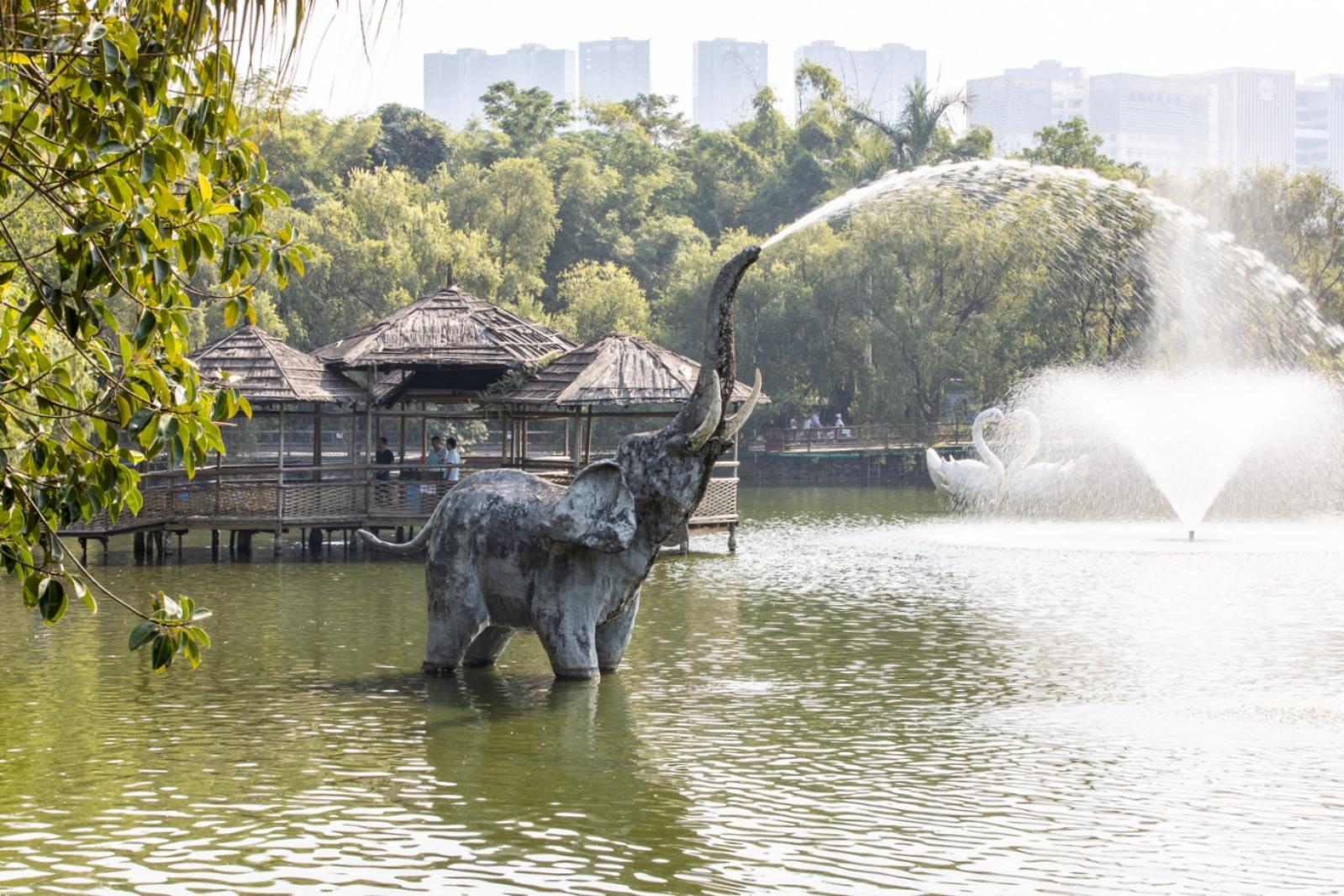 深圳野生动物园