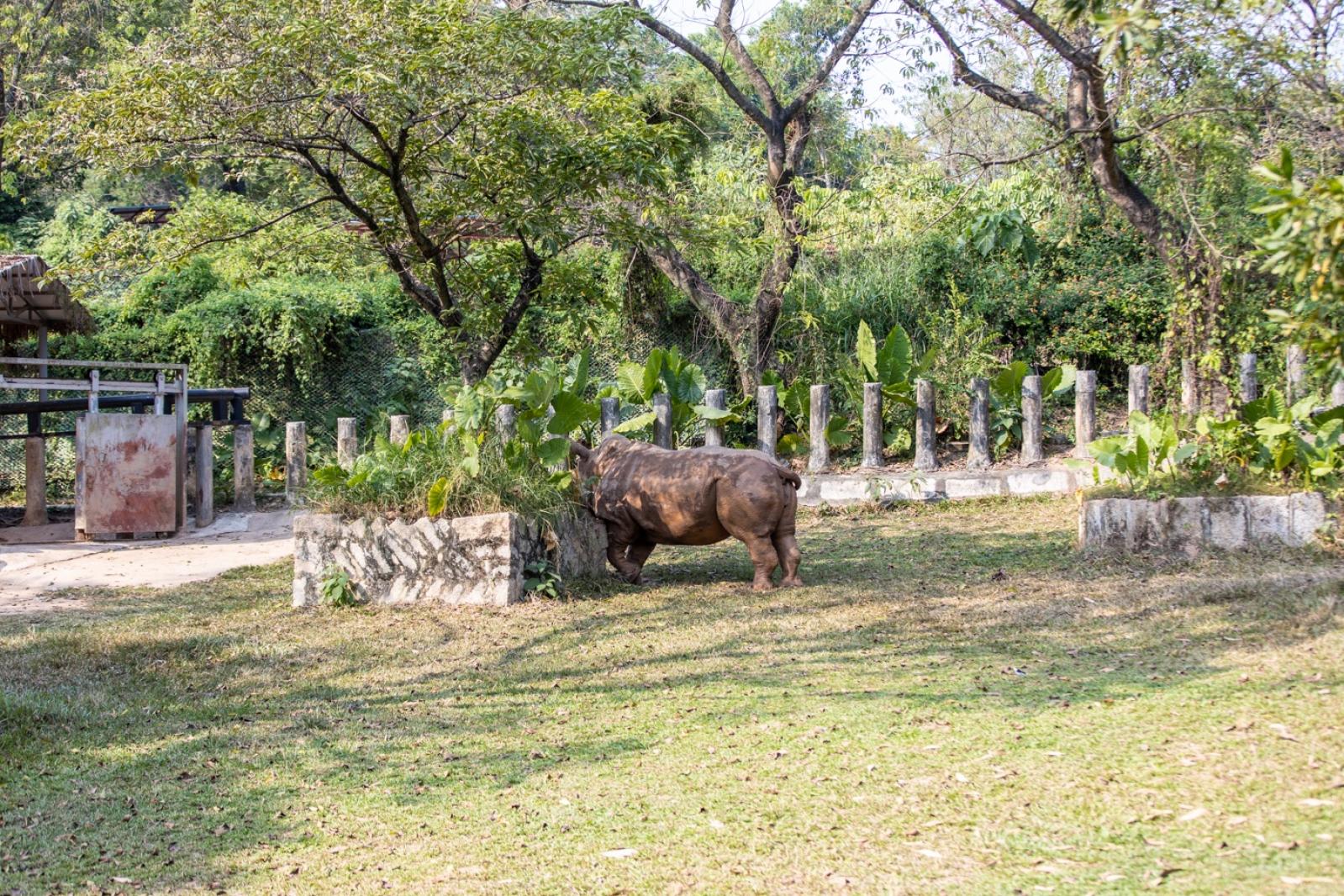 深圳野生动物园
