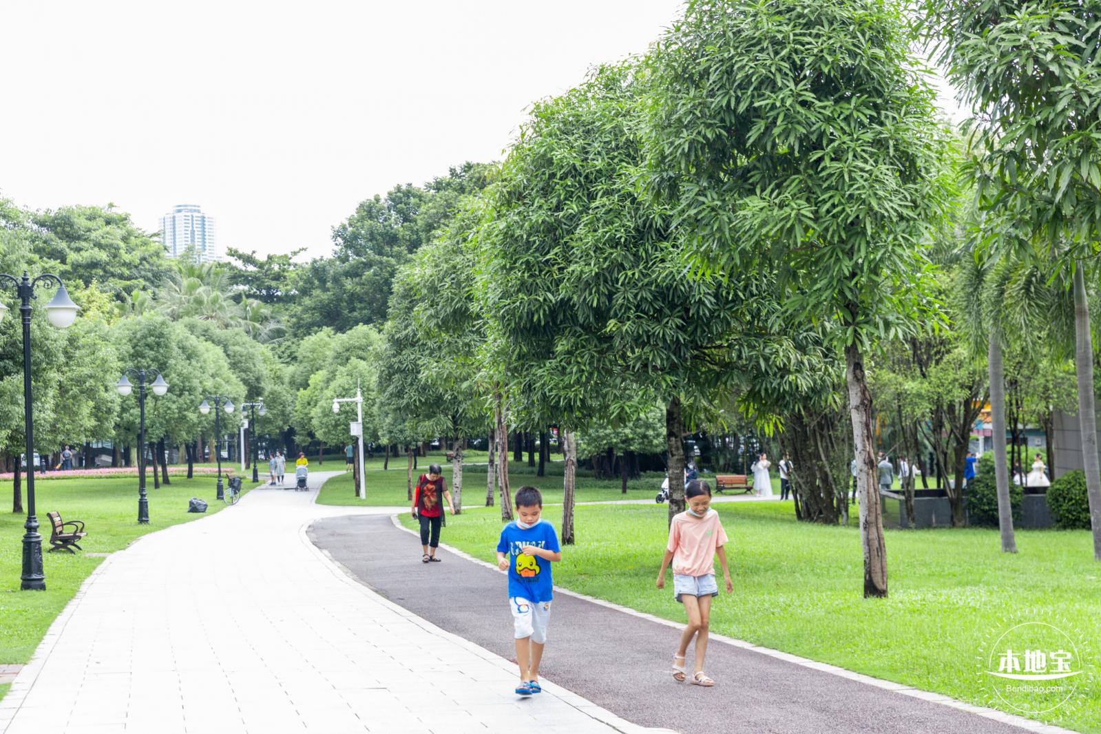 中心公园风雨兰