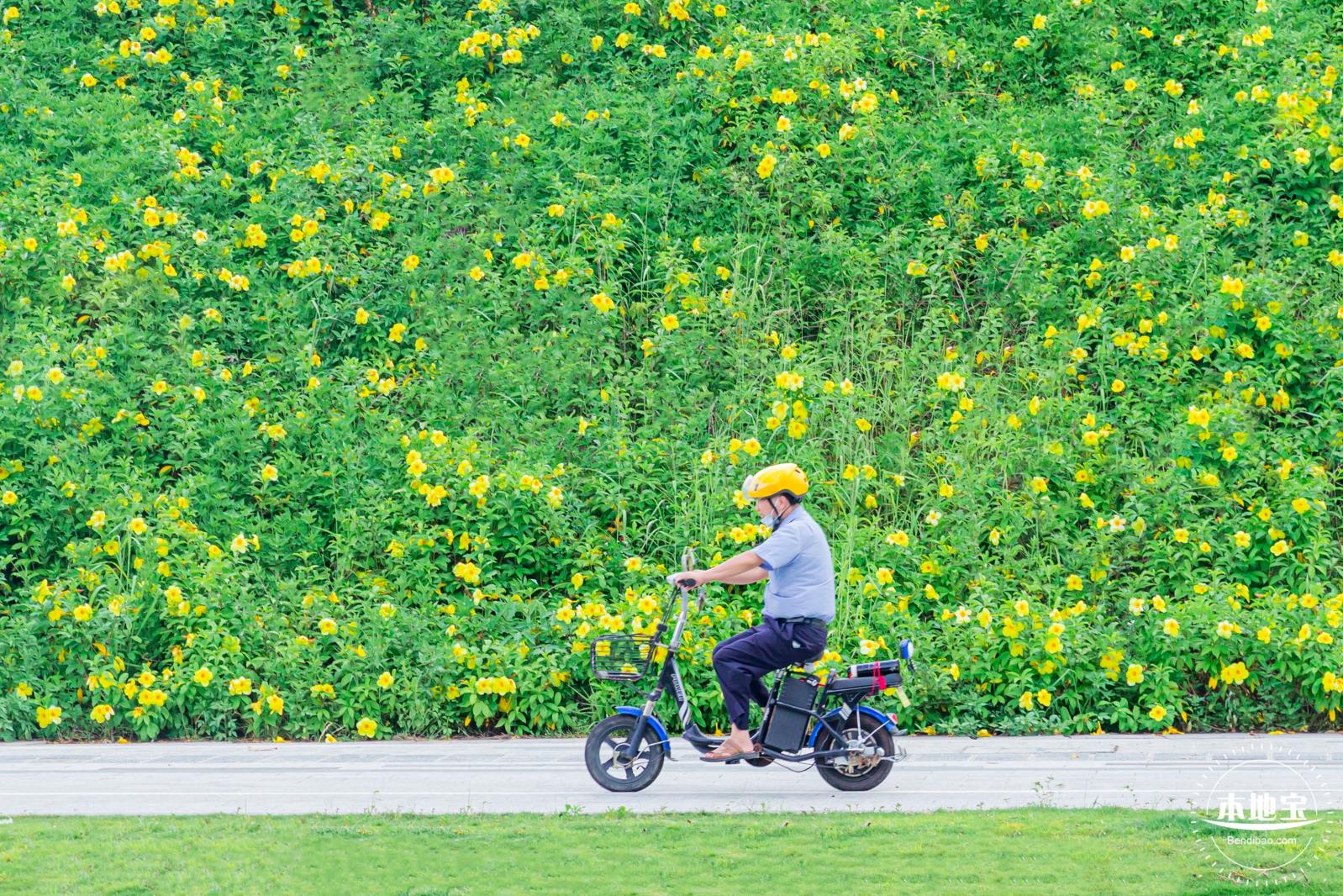 电动车