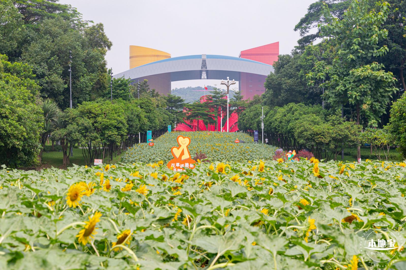 市民中心向日葵