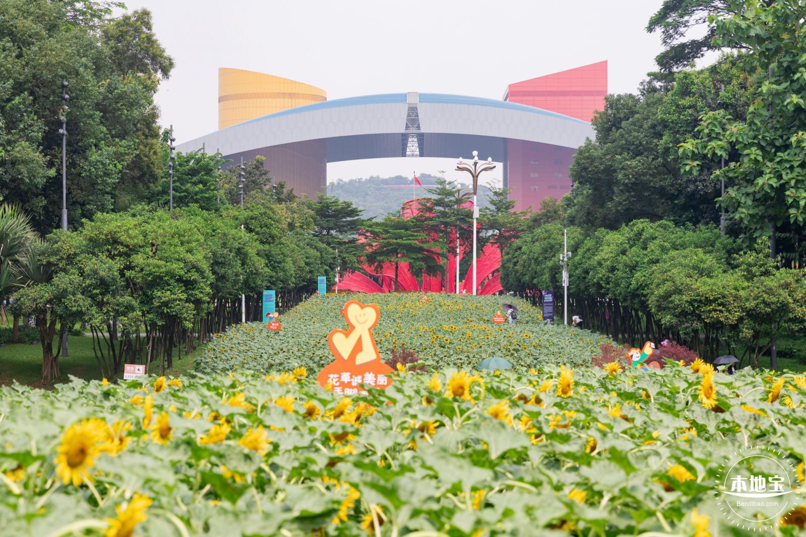 市民中心向日葵