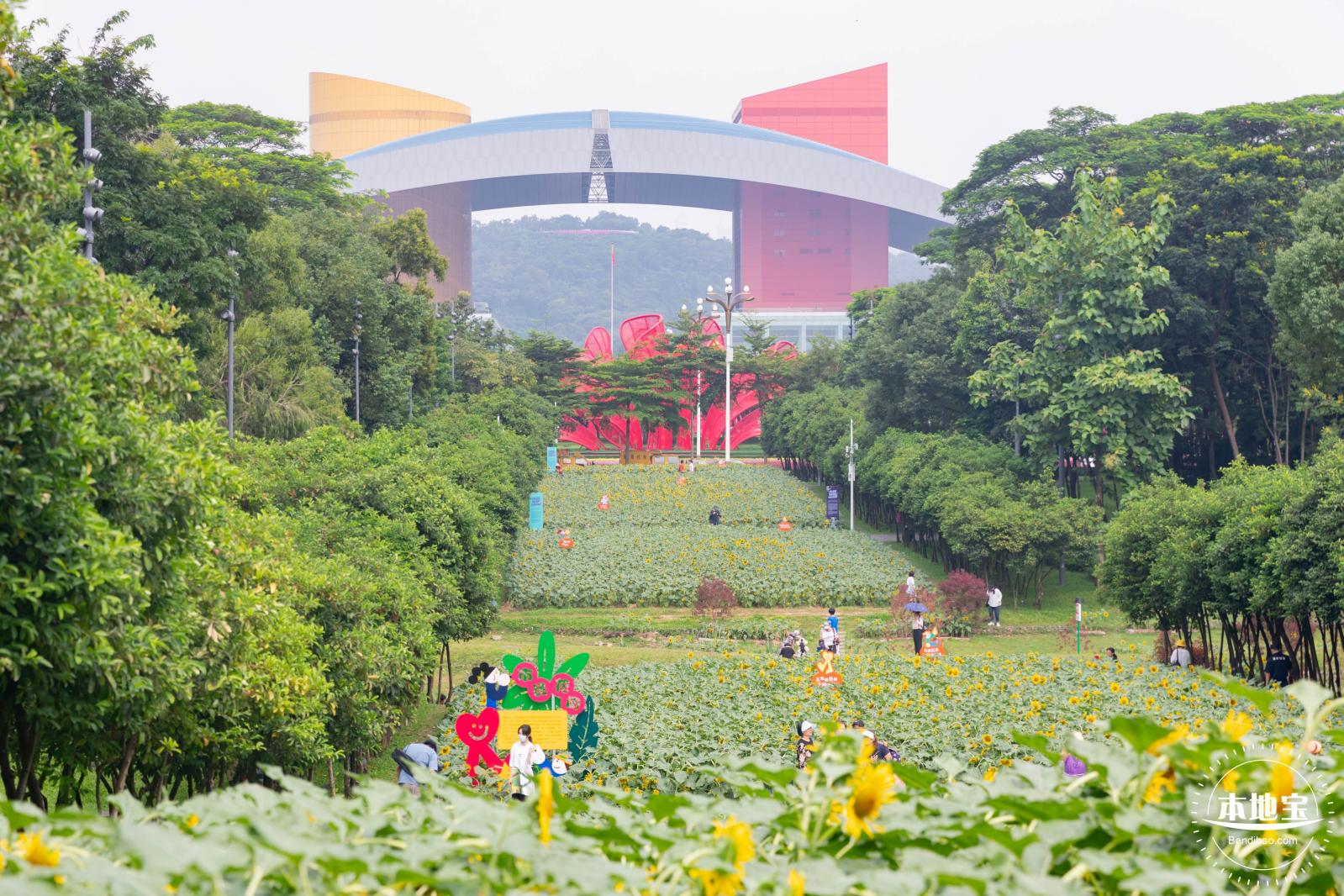 市民中心向日葵