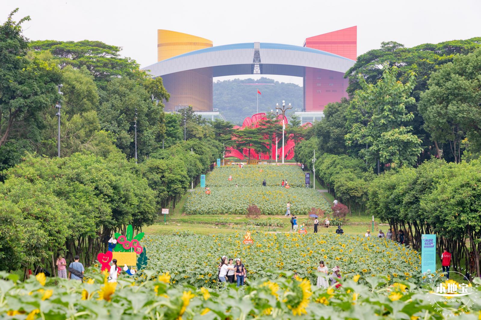 市民中心向日葵