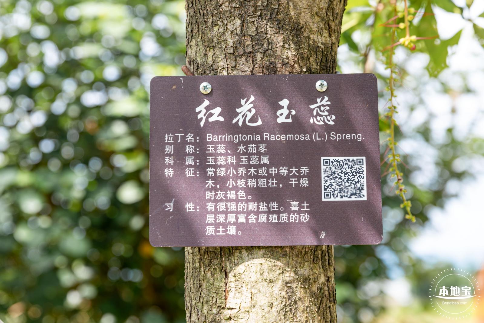禾塘湿地园2021