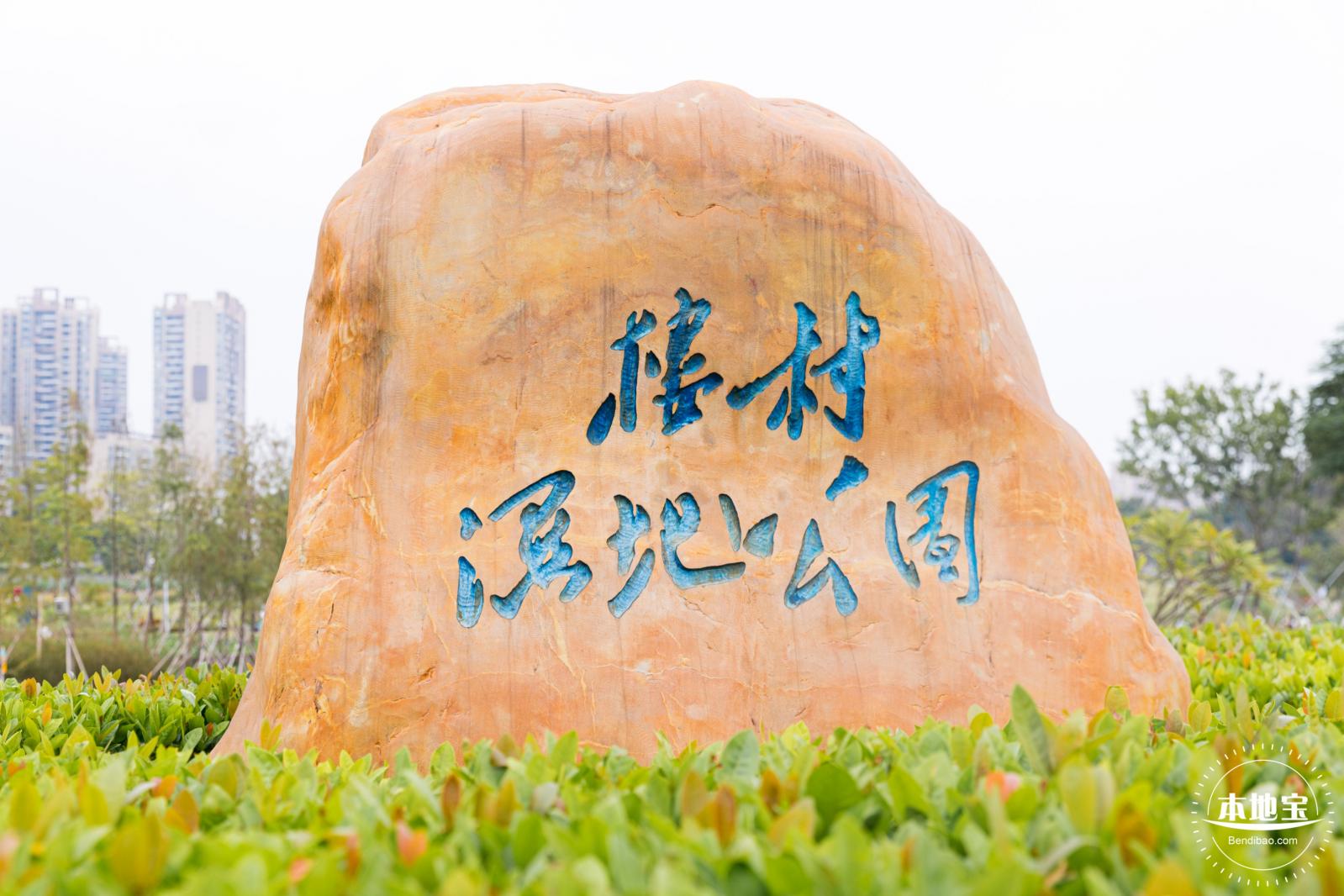 楼村湿地公园向日葵