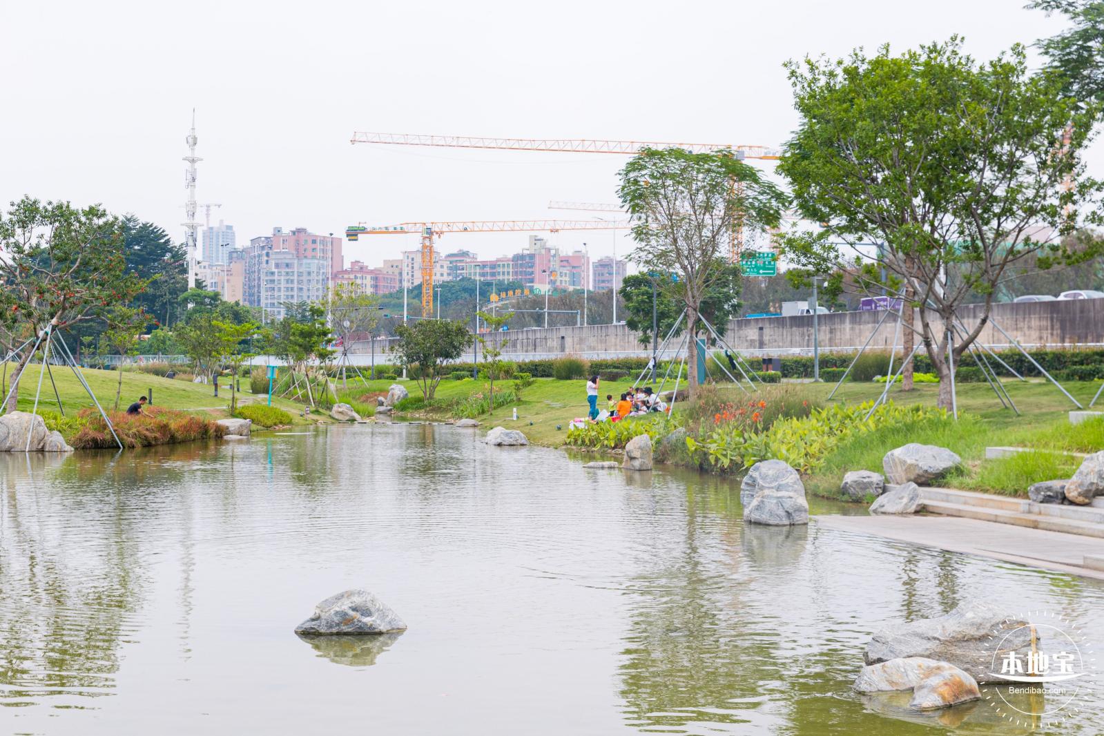 楼村湿地公园向日葵