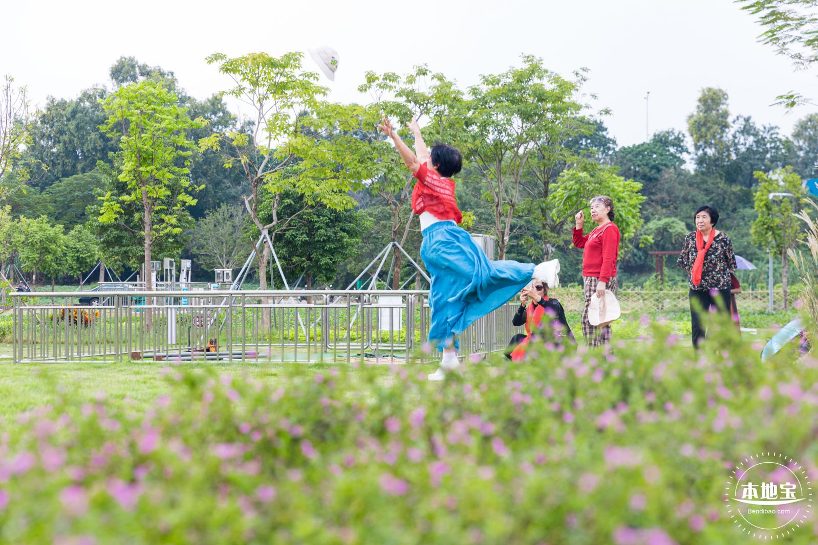 楼村湿地公园向日葵
