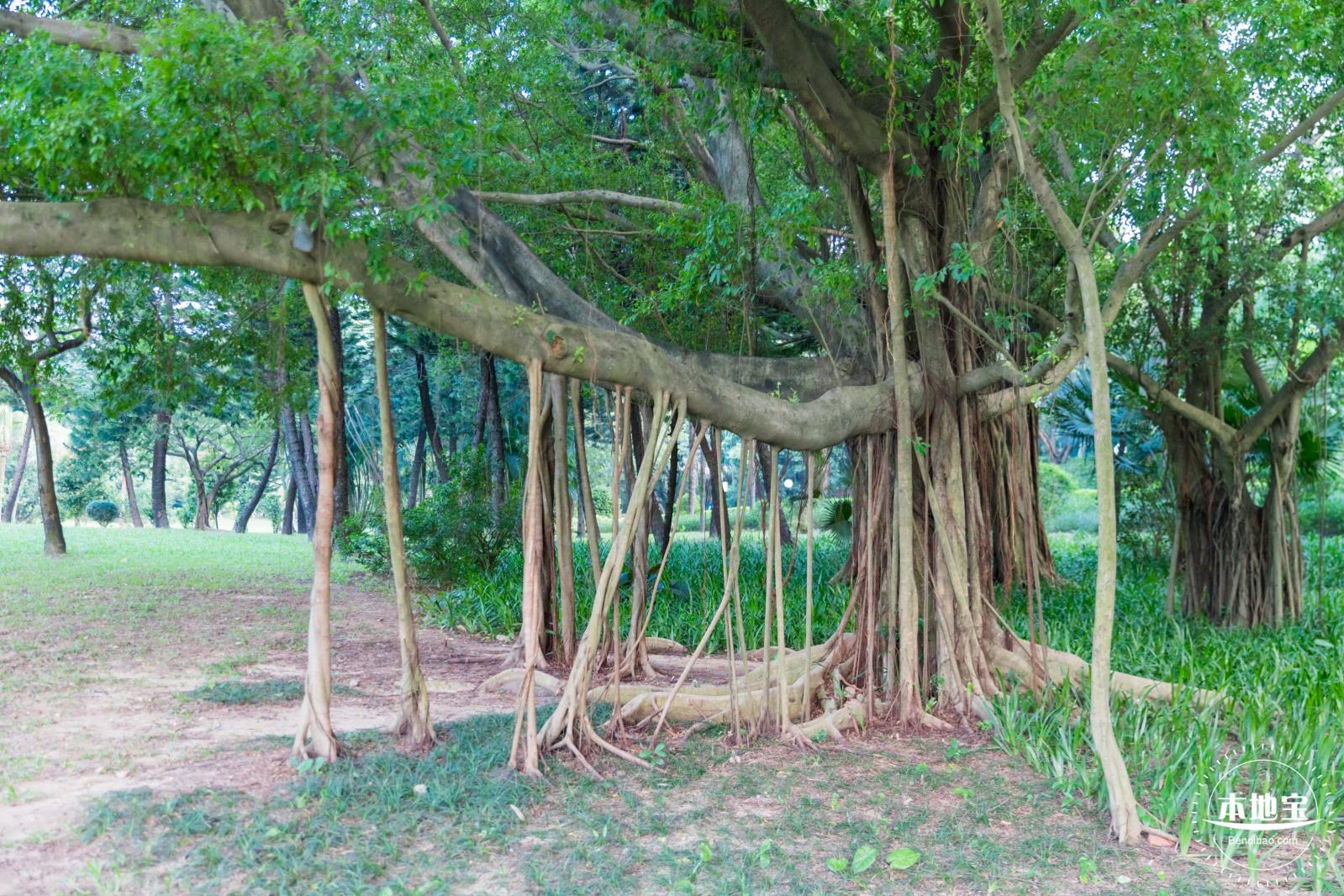 荔香公园