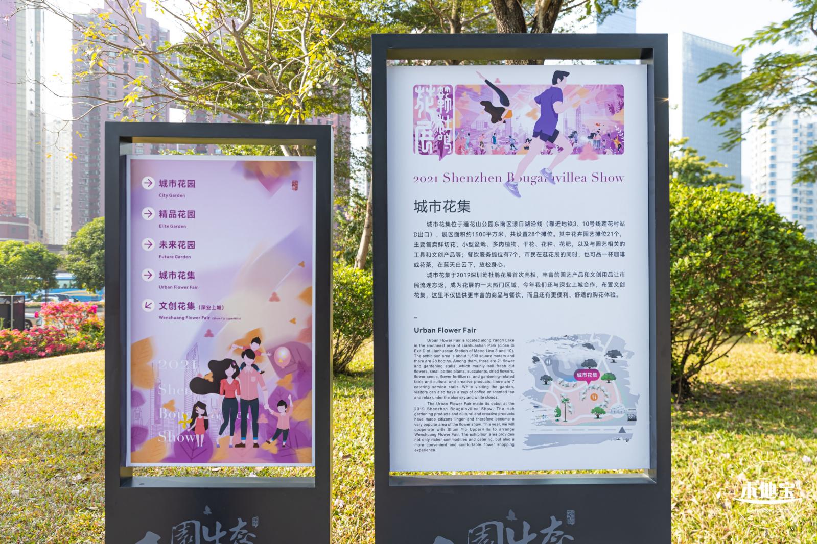 2021深圳簕杜鹃花展