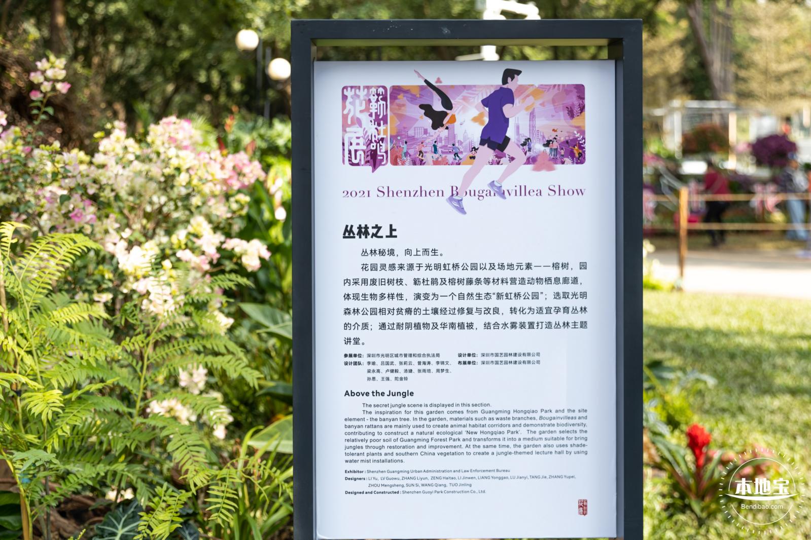 2021深圳簕杜鹃花展