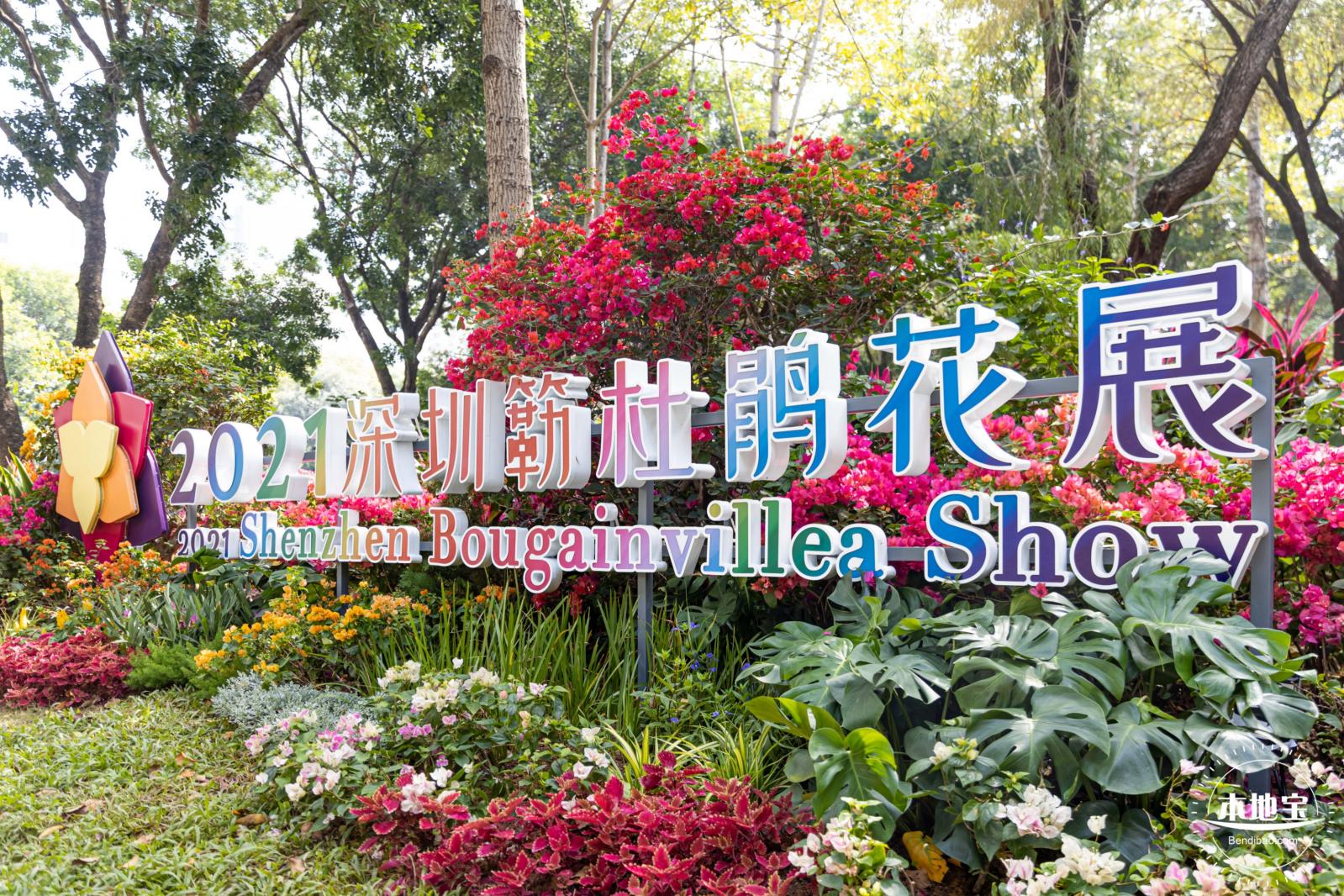 2021深圳簕杜鹃花展