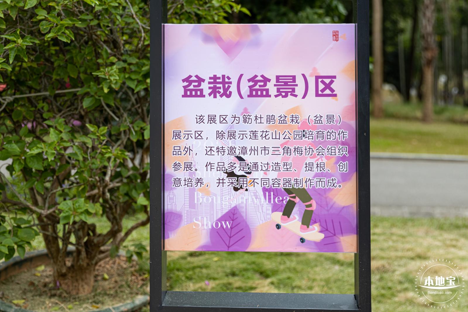 2021深圳簕杜鹃花展