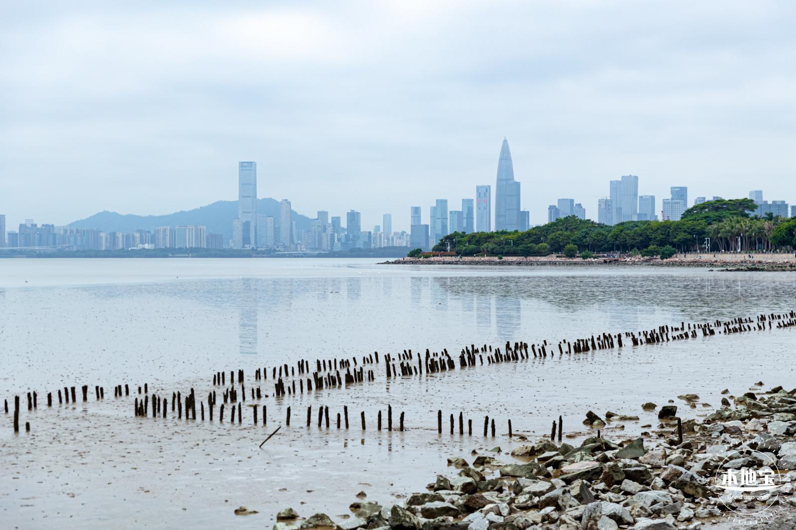 红树林自然保护区