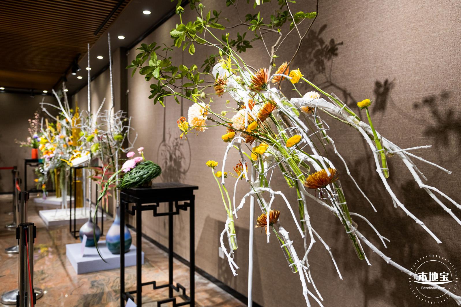 2021深圳菊花展-东湖公园