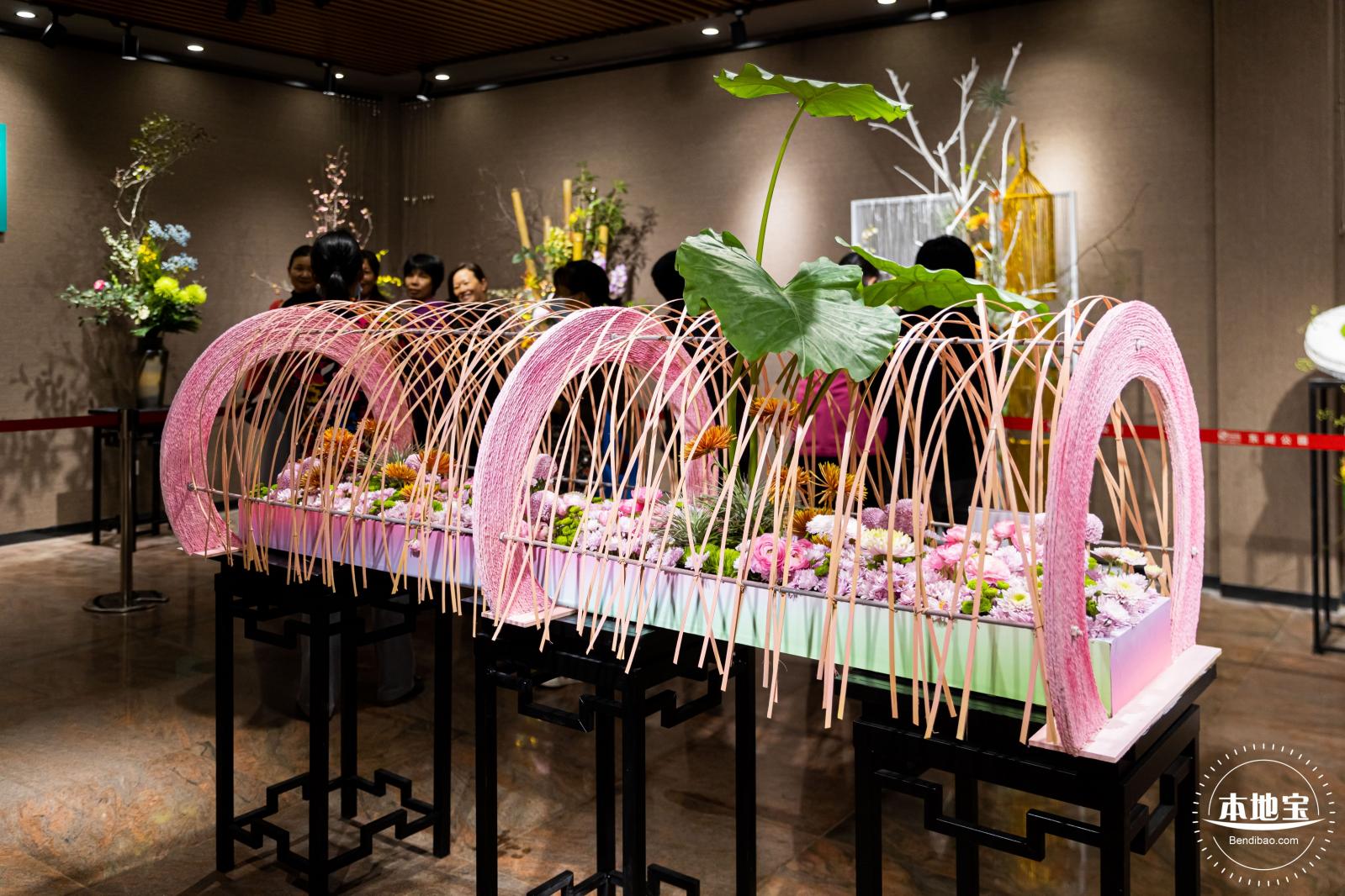 2021深圳菊花展-东湖公园