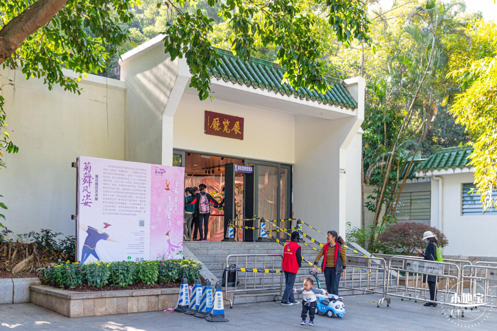 2021深圳菊花展-东湖公园