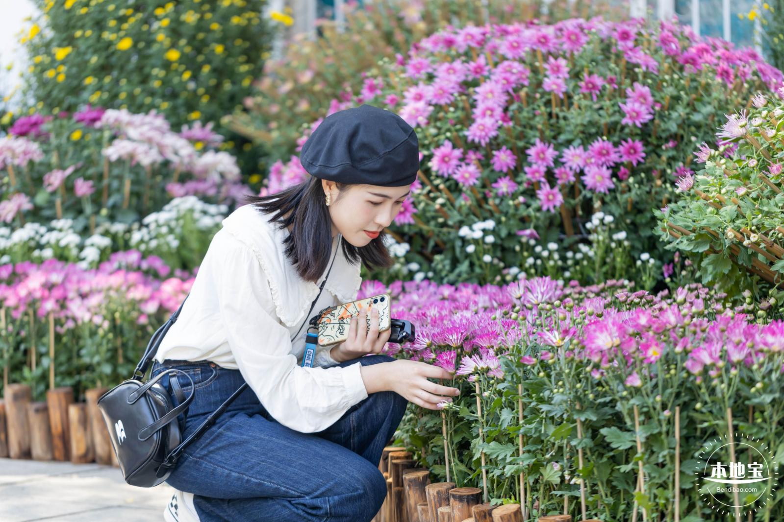 2021深圳菊花展-东湖公园