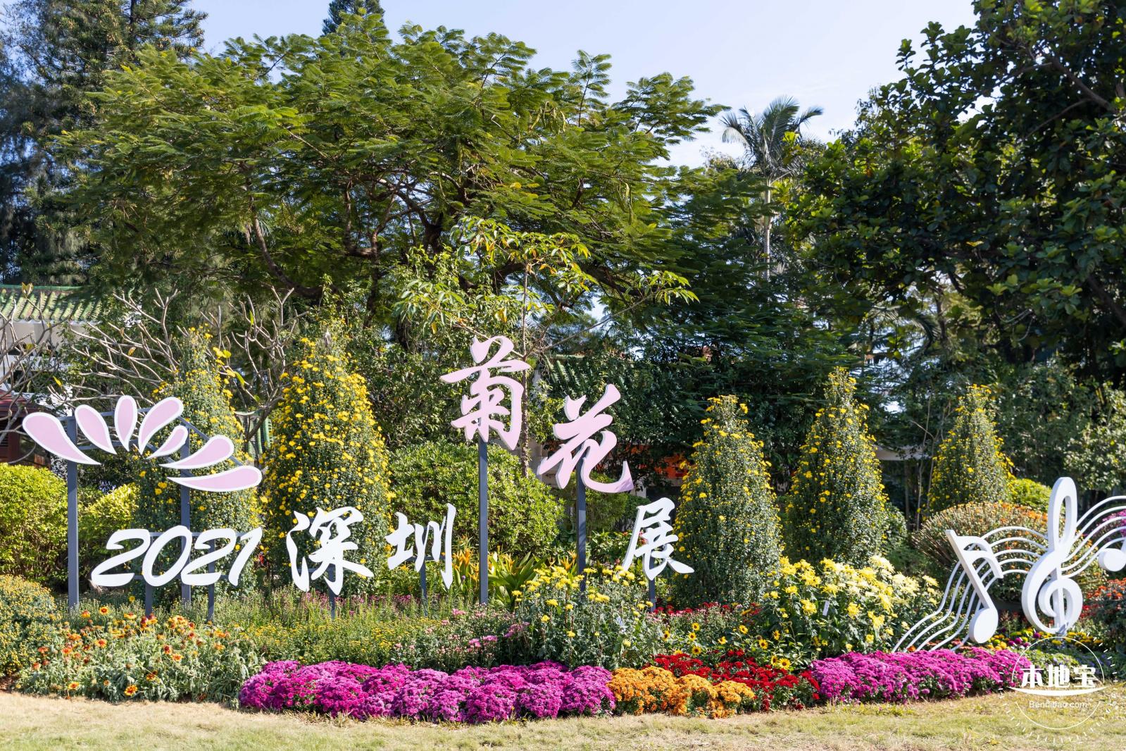 2021深圳菊花展-东湖公园