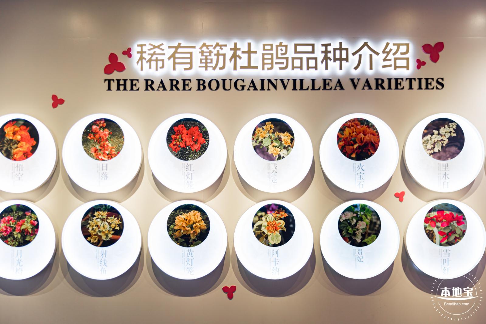 簕杜鹃科普馆