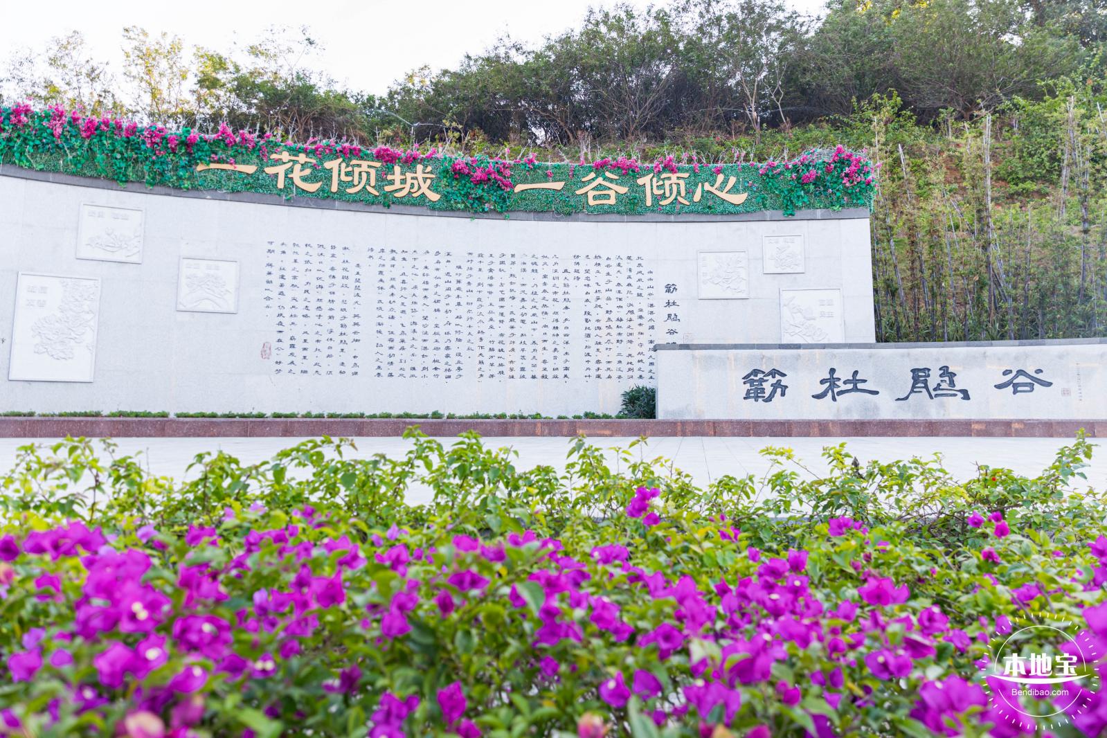 簕杜鹃谷