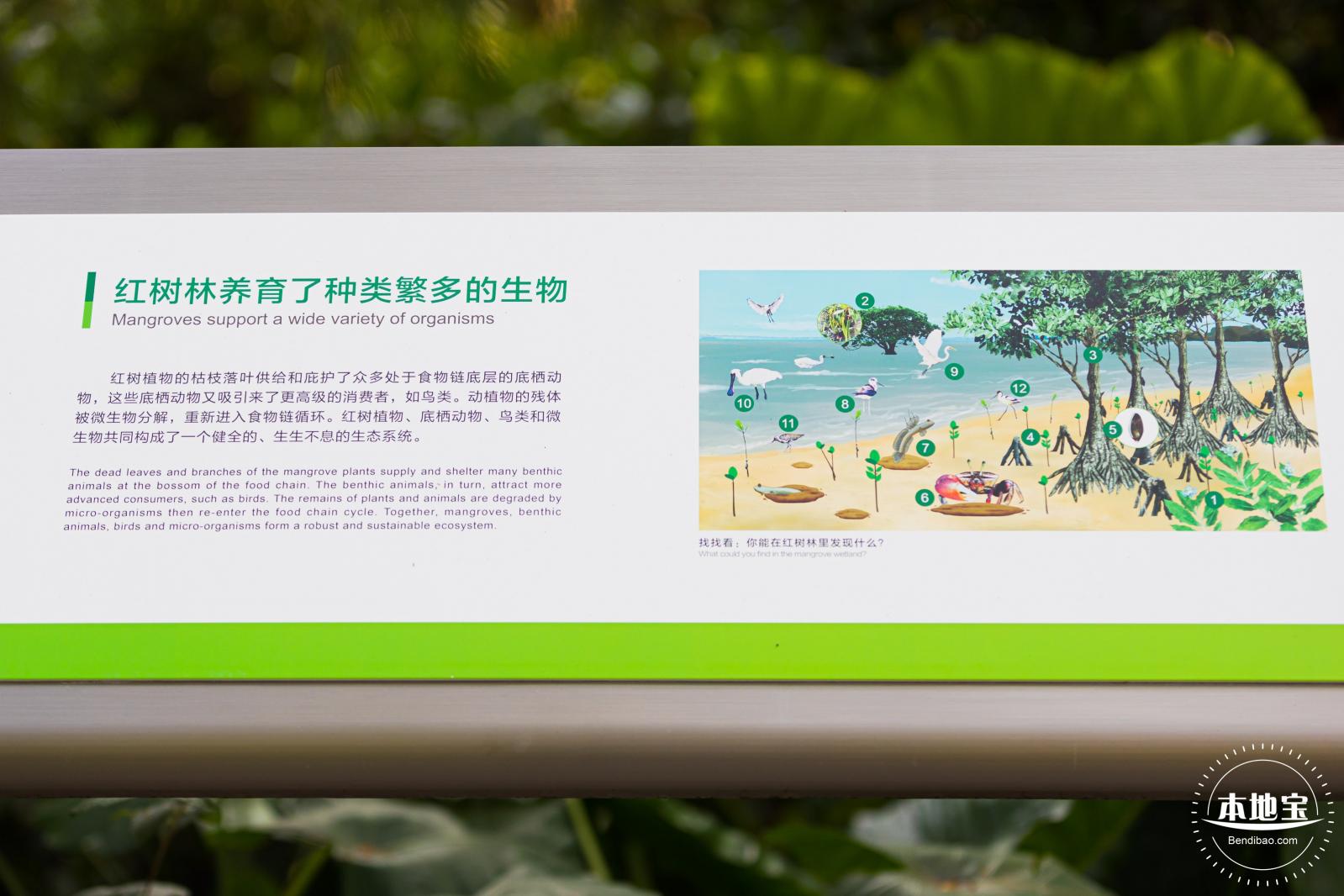 广东内伶仃福田国家级自然保护区