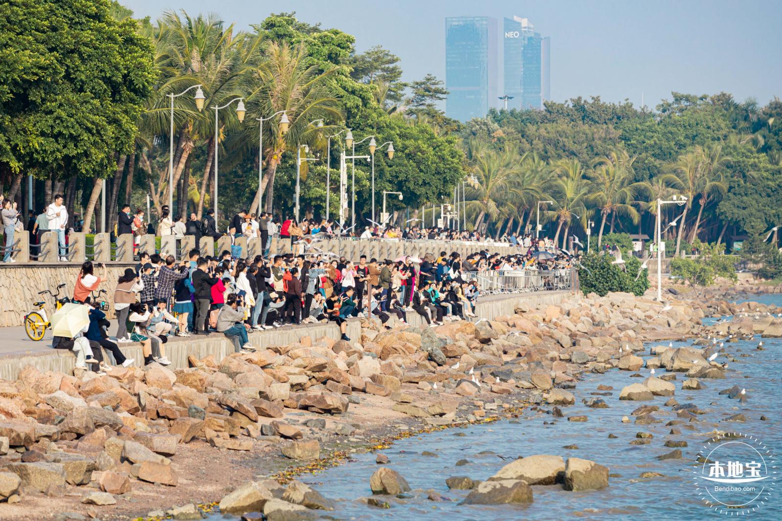 深圳湾公园候鸟季