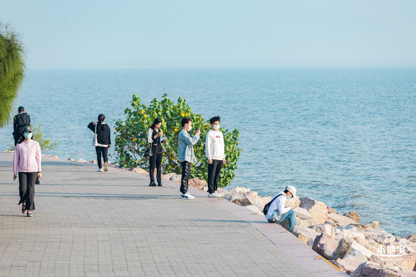 深圳湾公园候鸟季