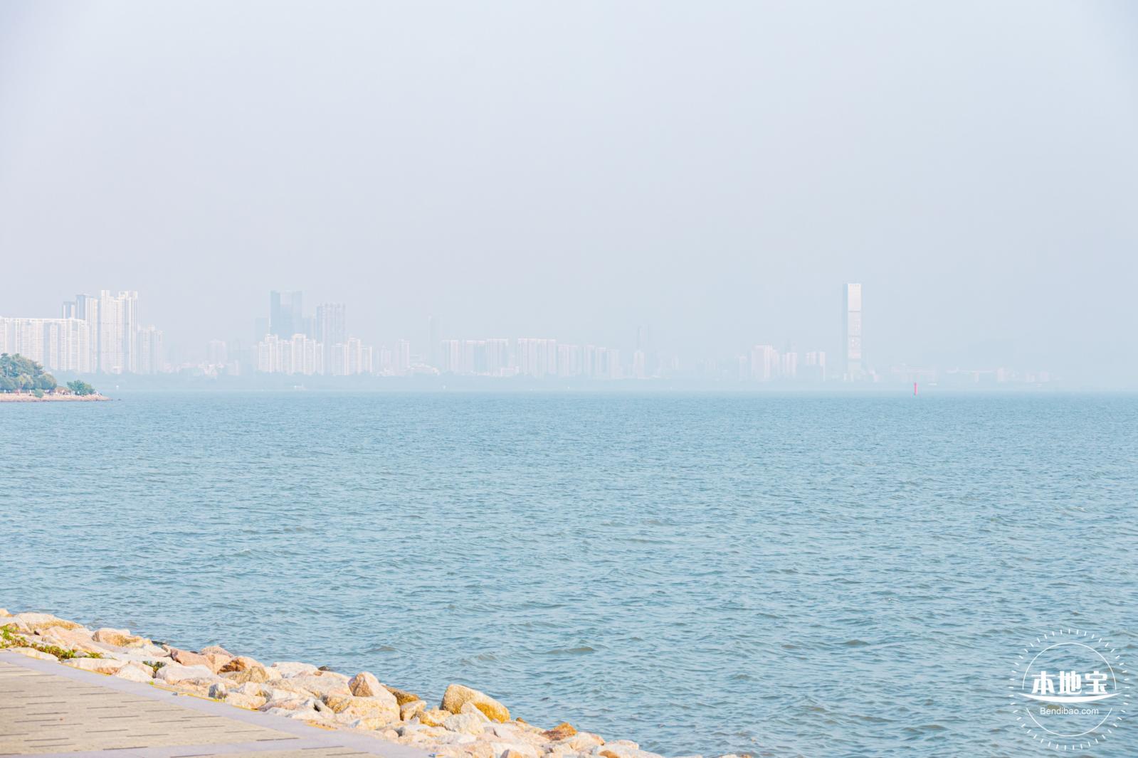 深圳湾公园候鸟季