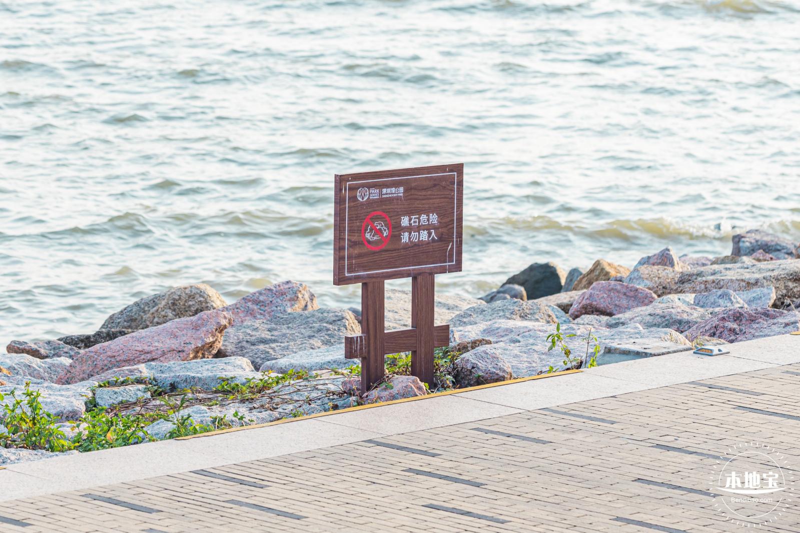 深圳湾公园候鸟季