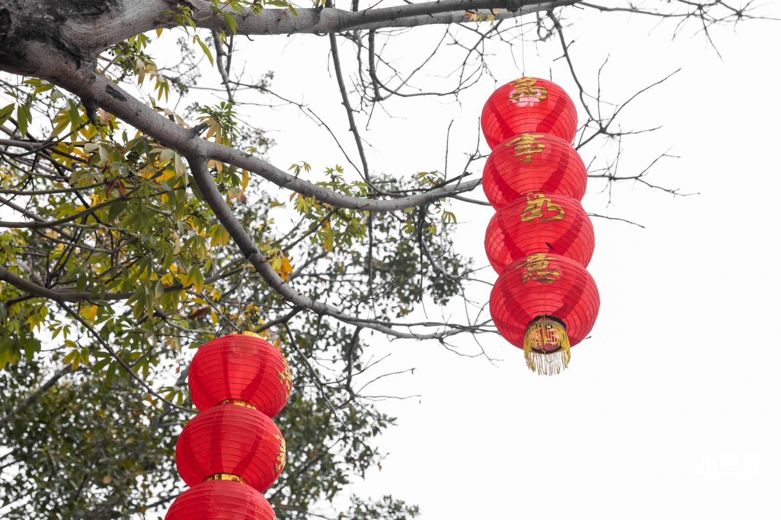 新春气息