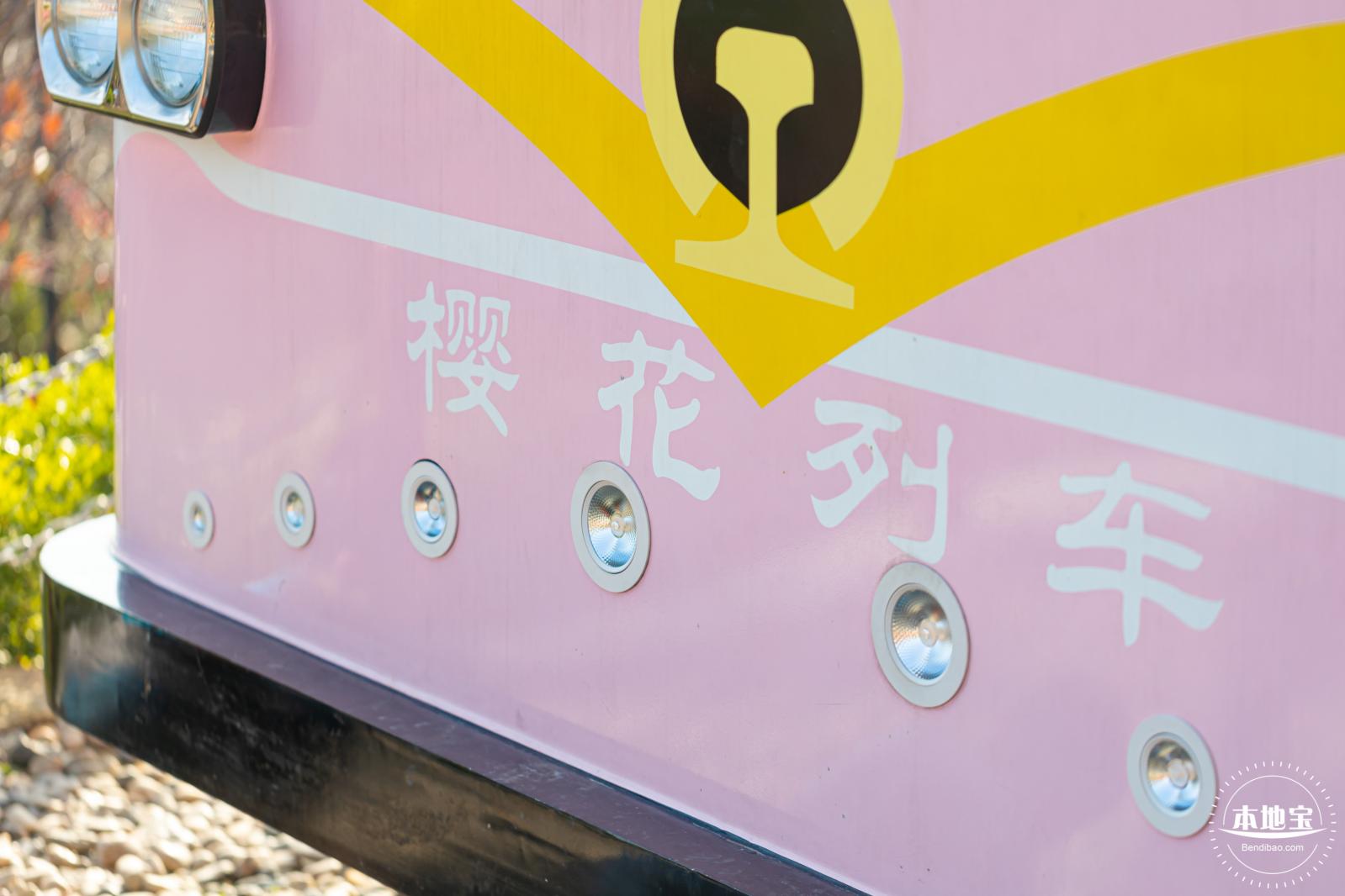 华英路樱花景观公园