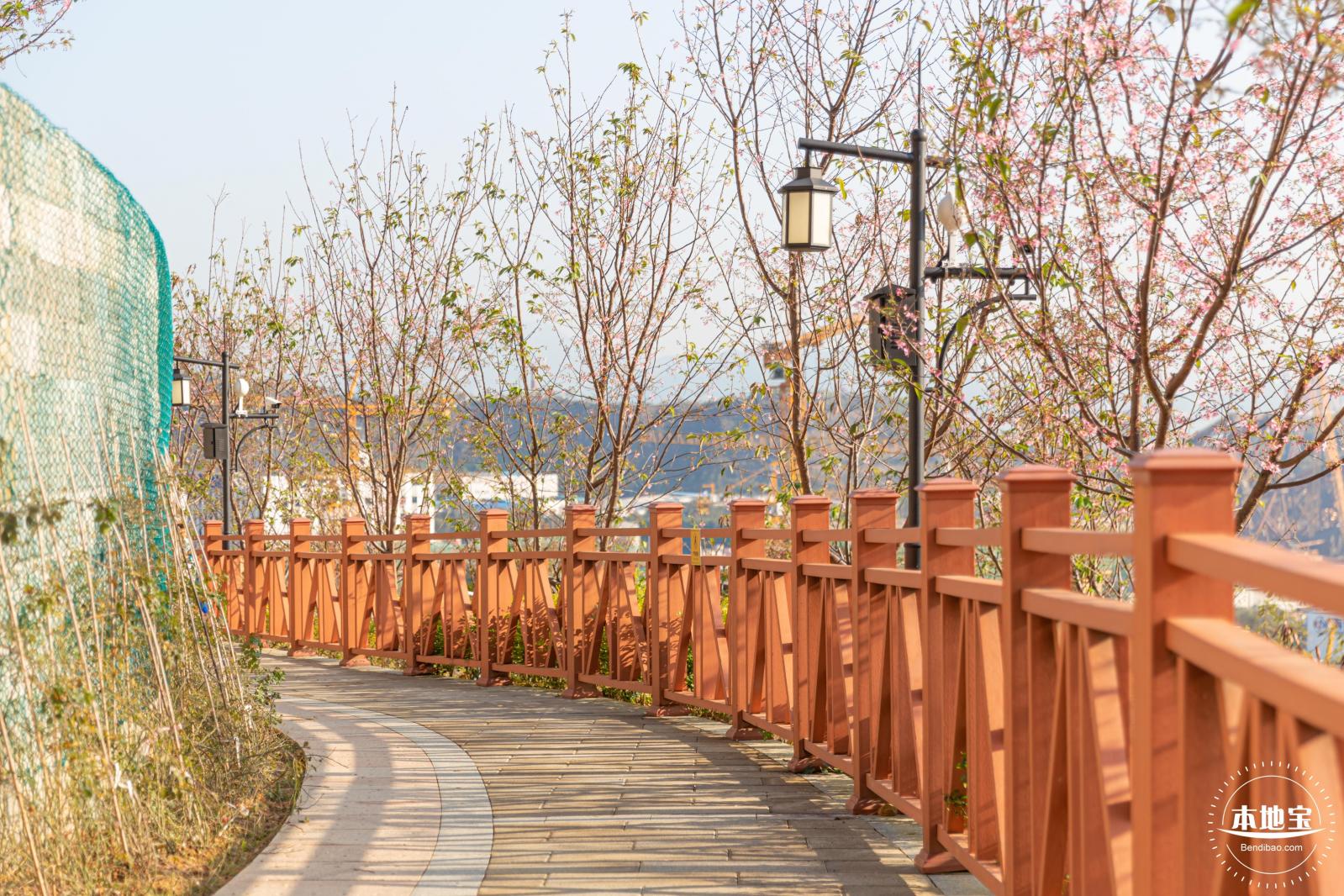 华英路樱花景观公园