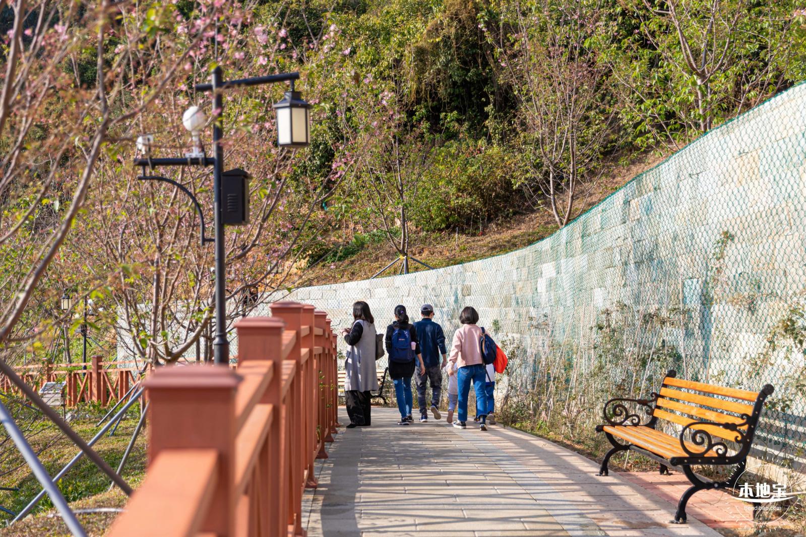 华英路樱花景观公园