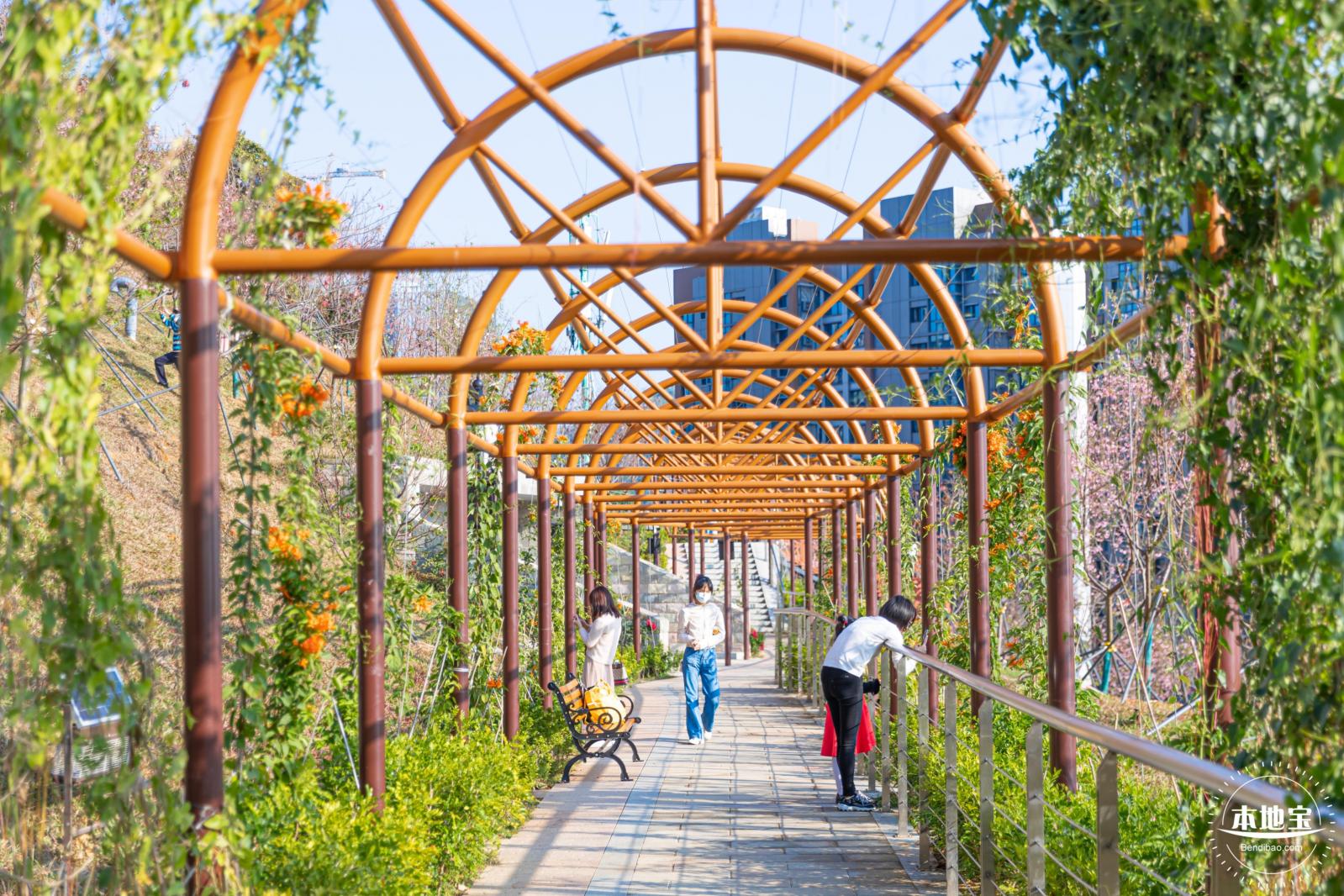 华英路樱花景观公园