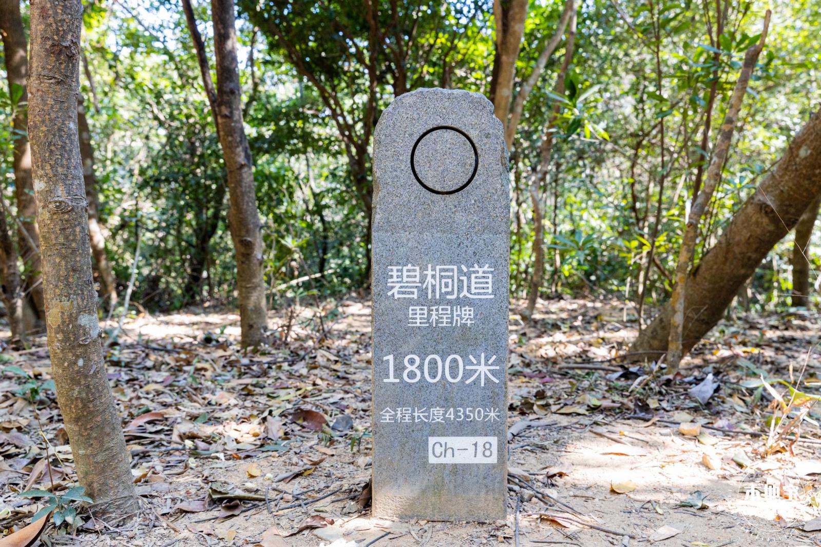 梧桐山
